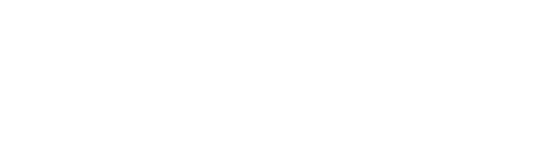 Verge Sport
